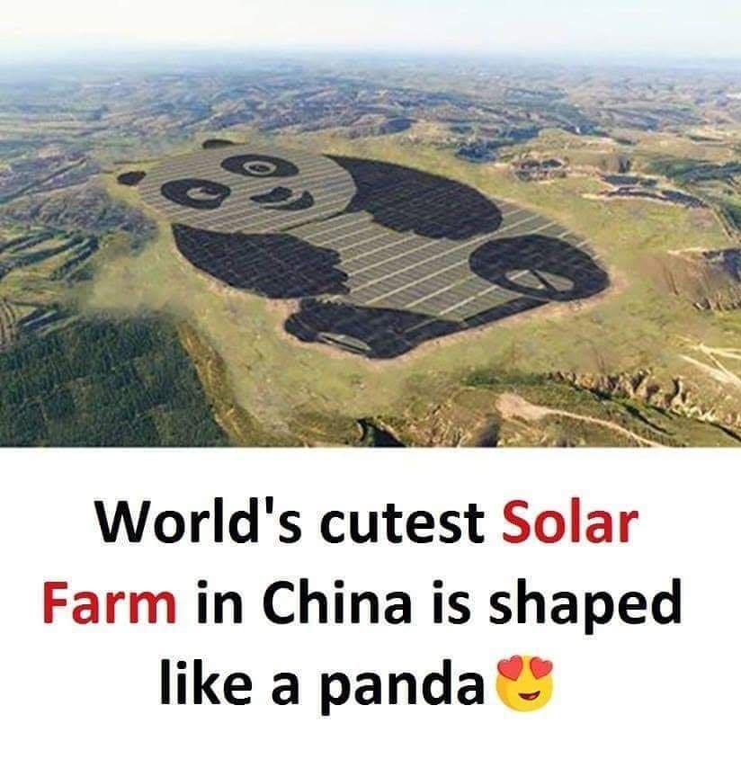 Vista aérea de una granja solar con forma de panda.
